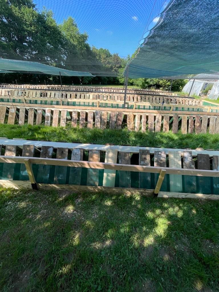 Photo d'illustration 3 sur 4