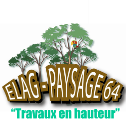 Photo d'illustration 1 sur 4