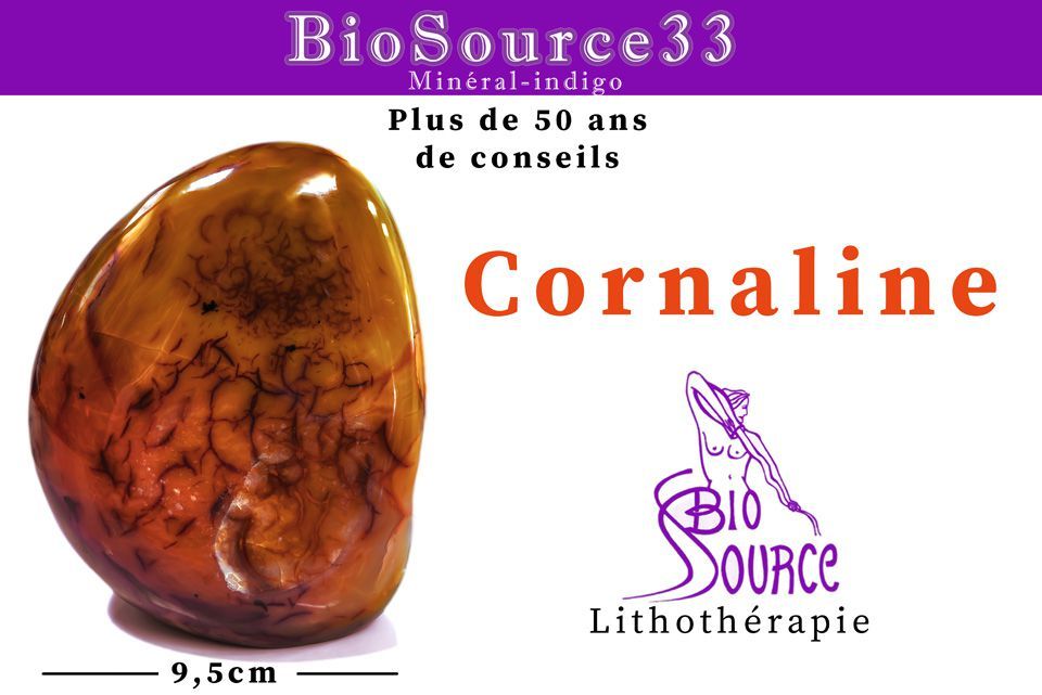 Photo d'illustration 2 sur 24