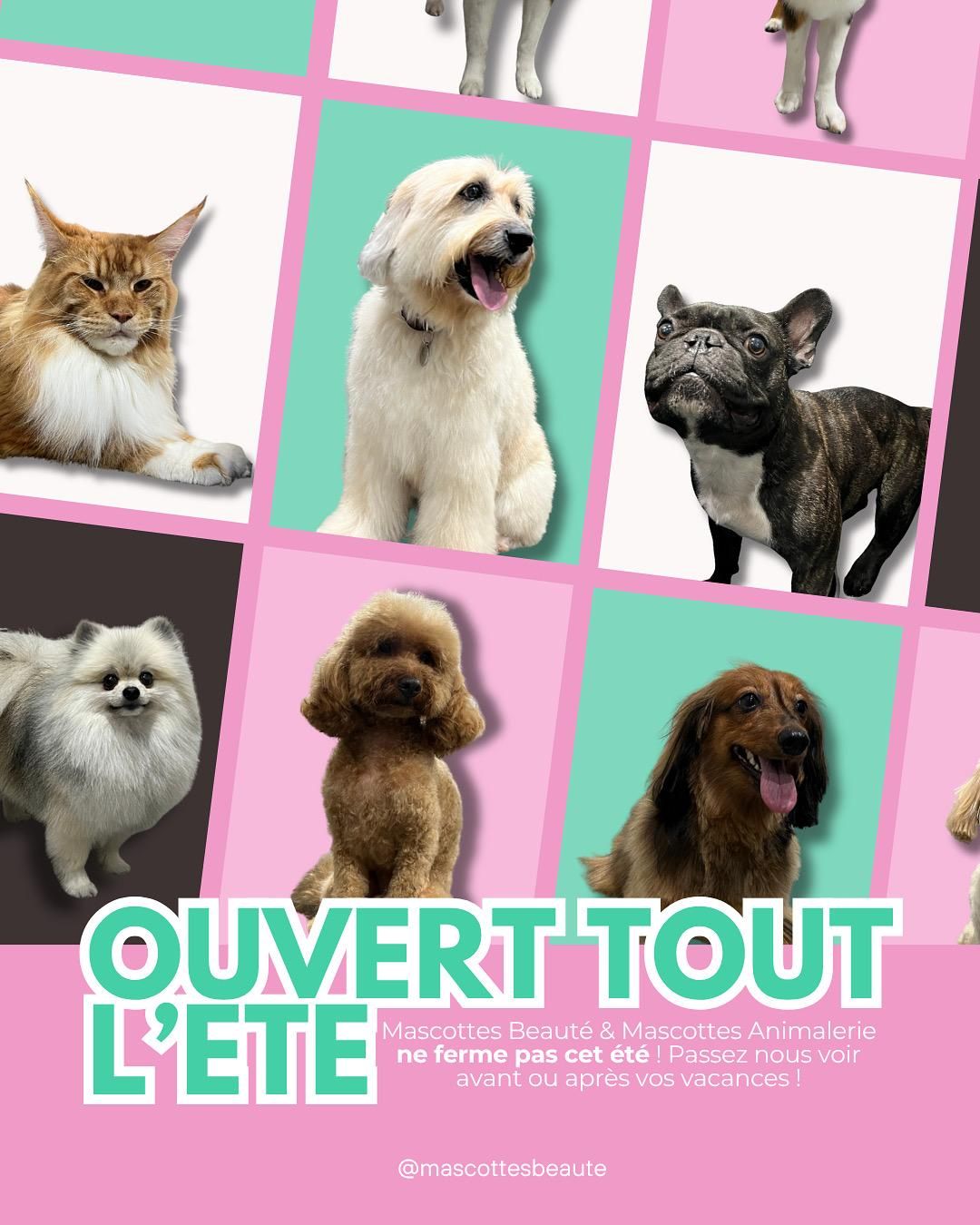 Photo d'illustration 2 sur 156