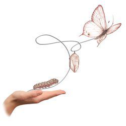 Photo d'illustration 1 sur 2
