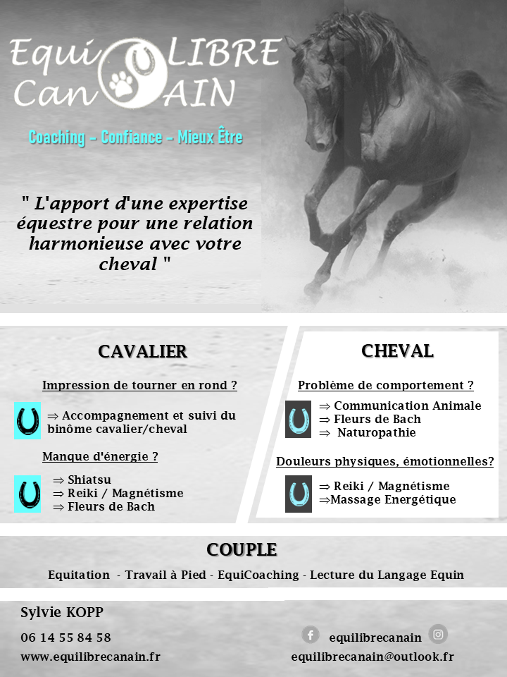 Photo d'illustration 2 sur 6