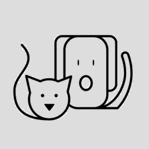 Photo d'illustration 3 sur 9