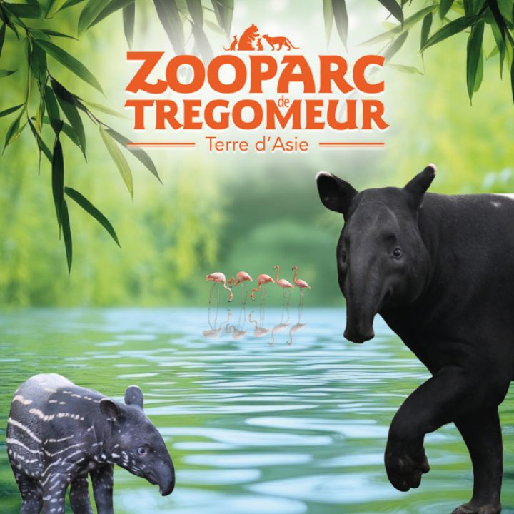 Photo d'illustration 1 sur 1