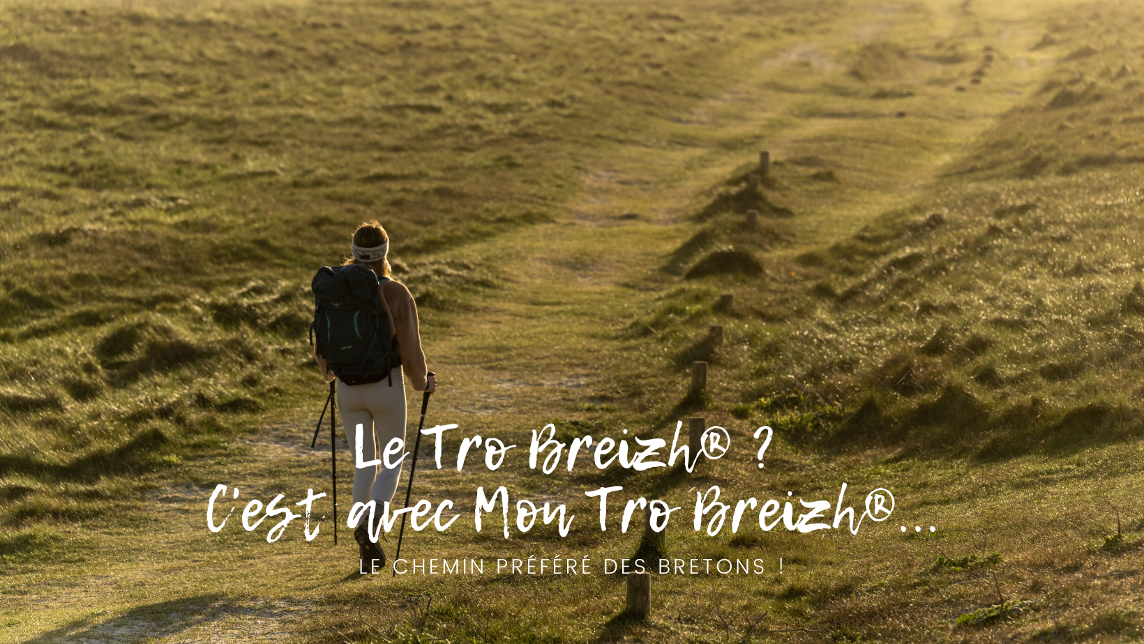 Photo d'illustration 4 sur 17