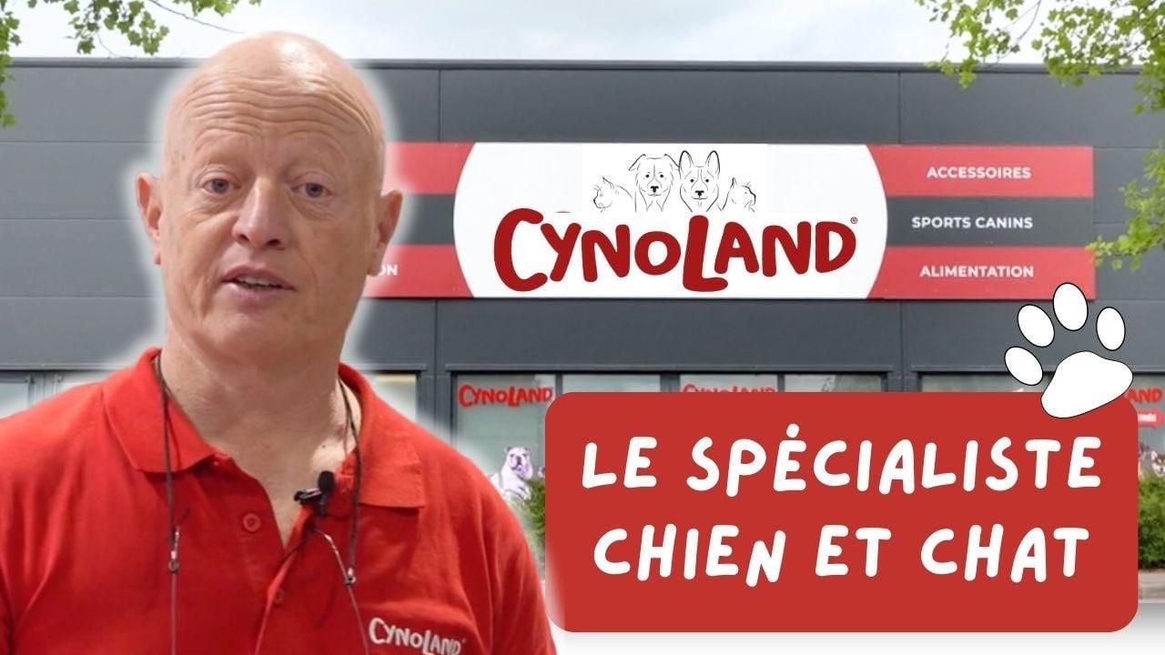 Photo d'illustration 2 sur 3