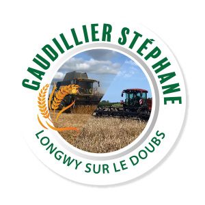 Photo d'illustration 2 sur 16