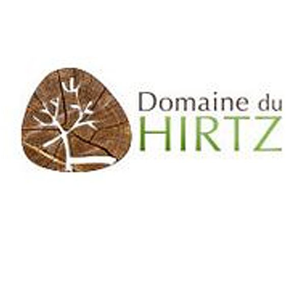 Photo d'illustration 1 sur 17