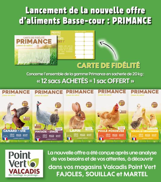 Photo d'illustration 1 sur 47