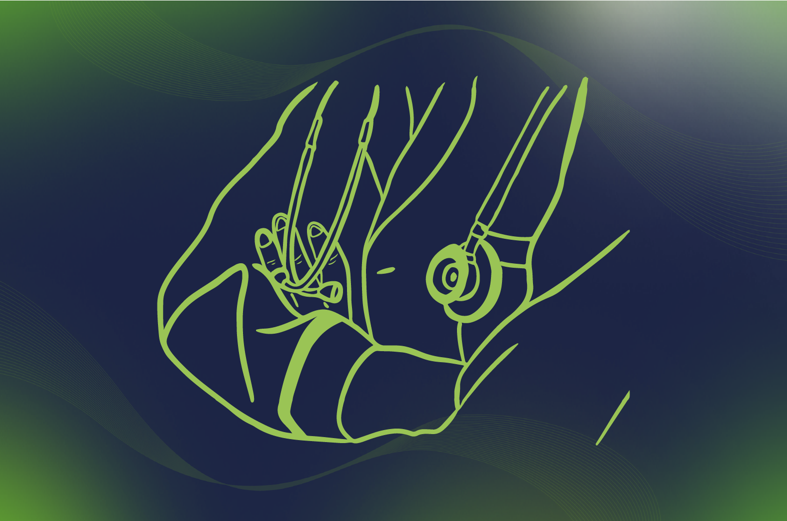 Photo d'illustration 2 sur 8