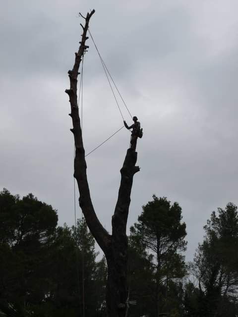 Photo d'illustration 1 sur 1
