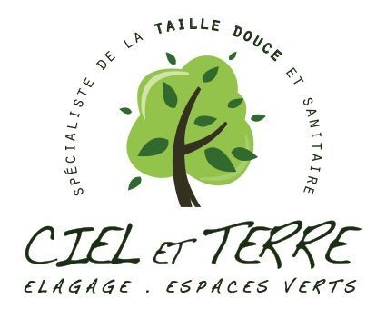 Photo d'illustration 4 sur 6