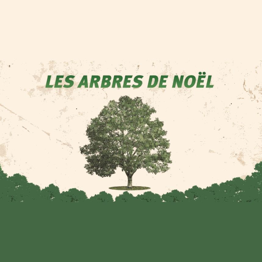 Photo d'illustration 1 sur 3