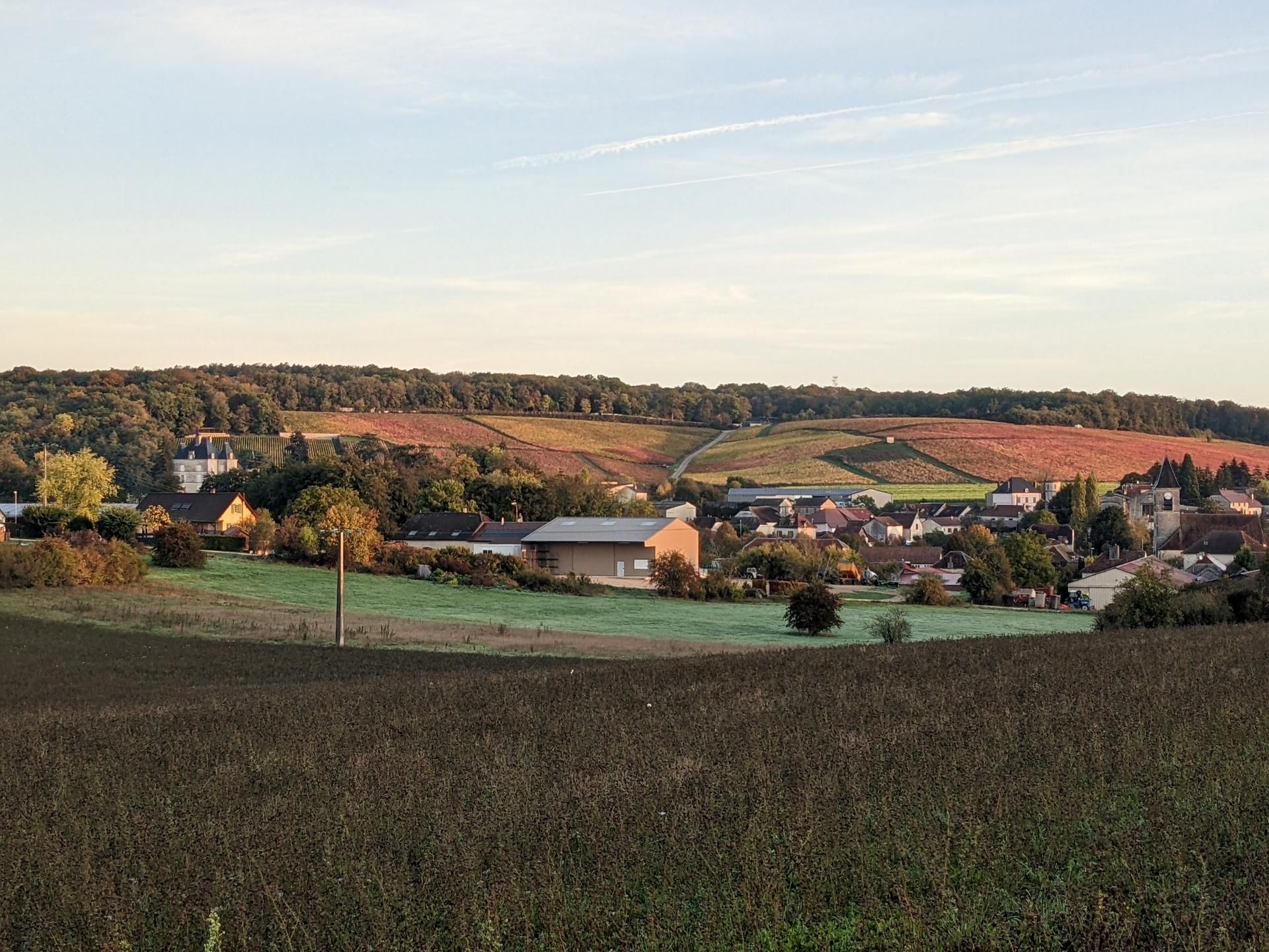 Photo d'illustration 4 sur 8
