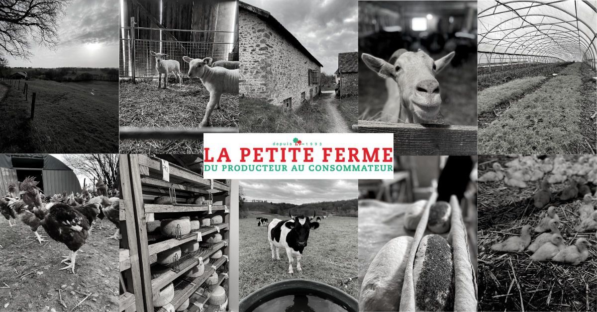 Photo d'illustration 2 sur 6