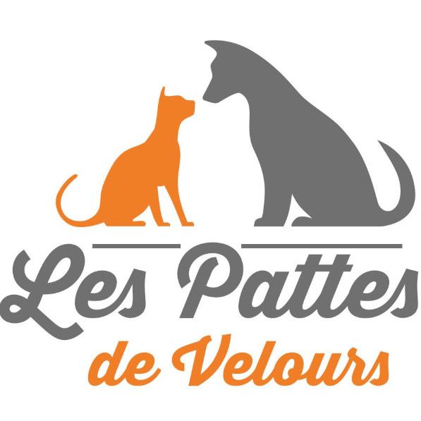 Photo d'illustration 1 sur 6