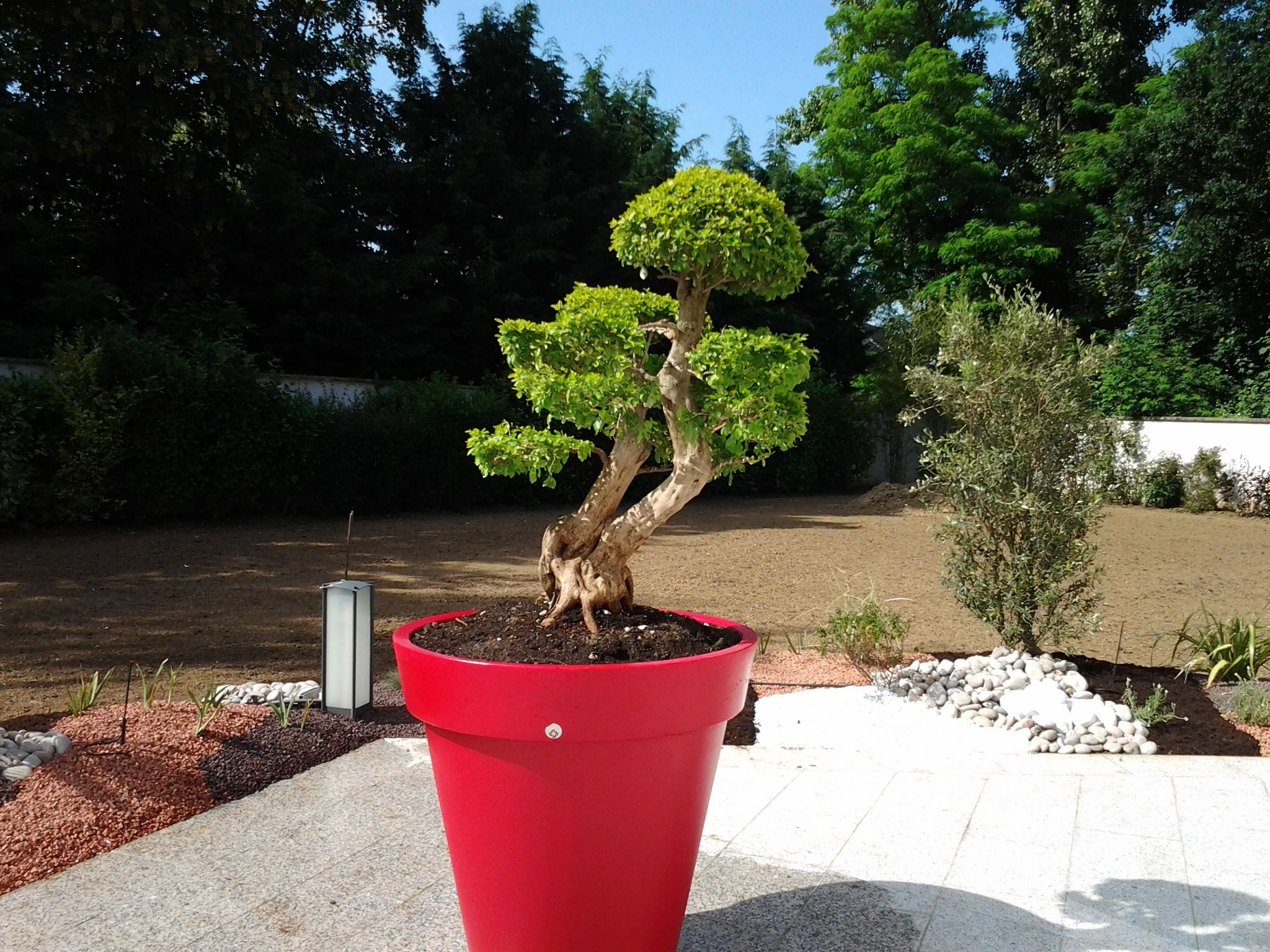 Photo d'illustration 2 sur 3