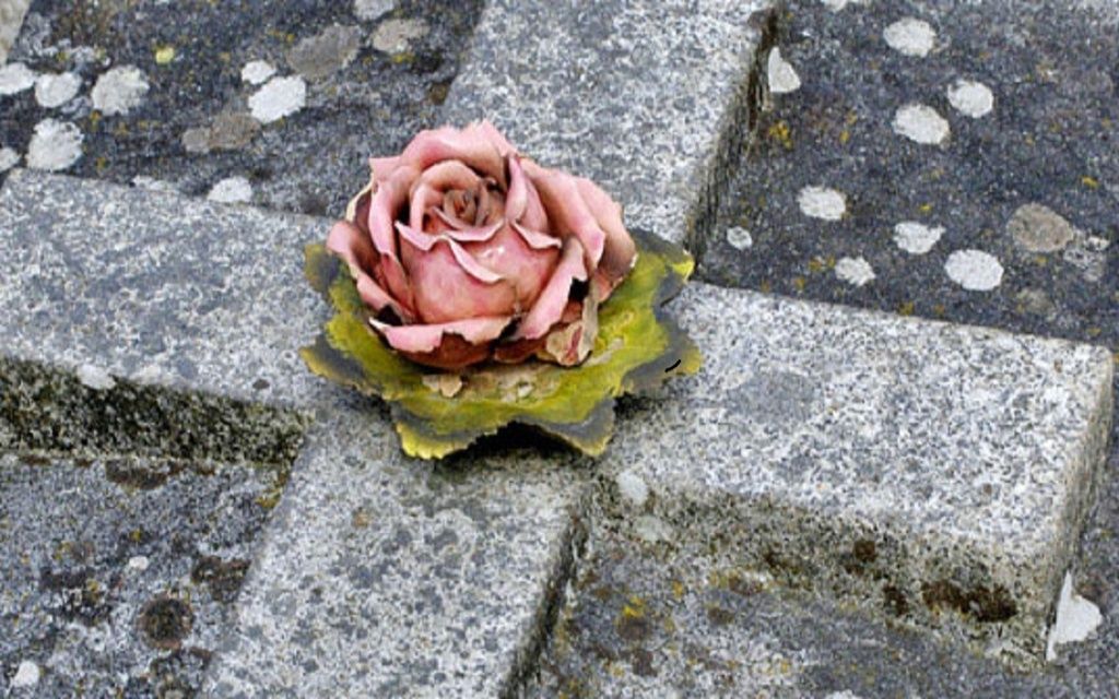 Photo d'illustration 2 sur 2