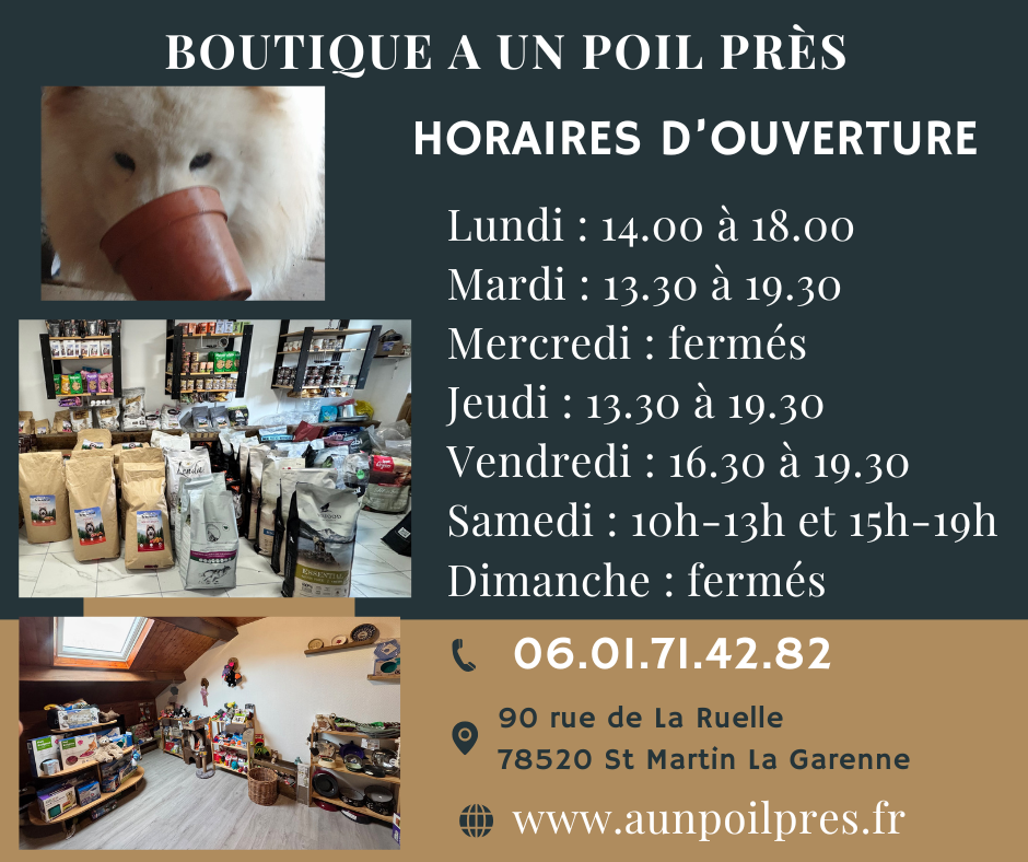 Photo d'illustration 2 sur 7