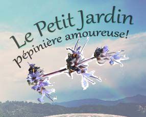 Photo d'illustration 2 sur 4