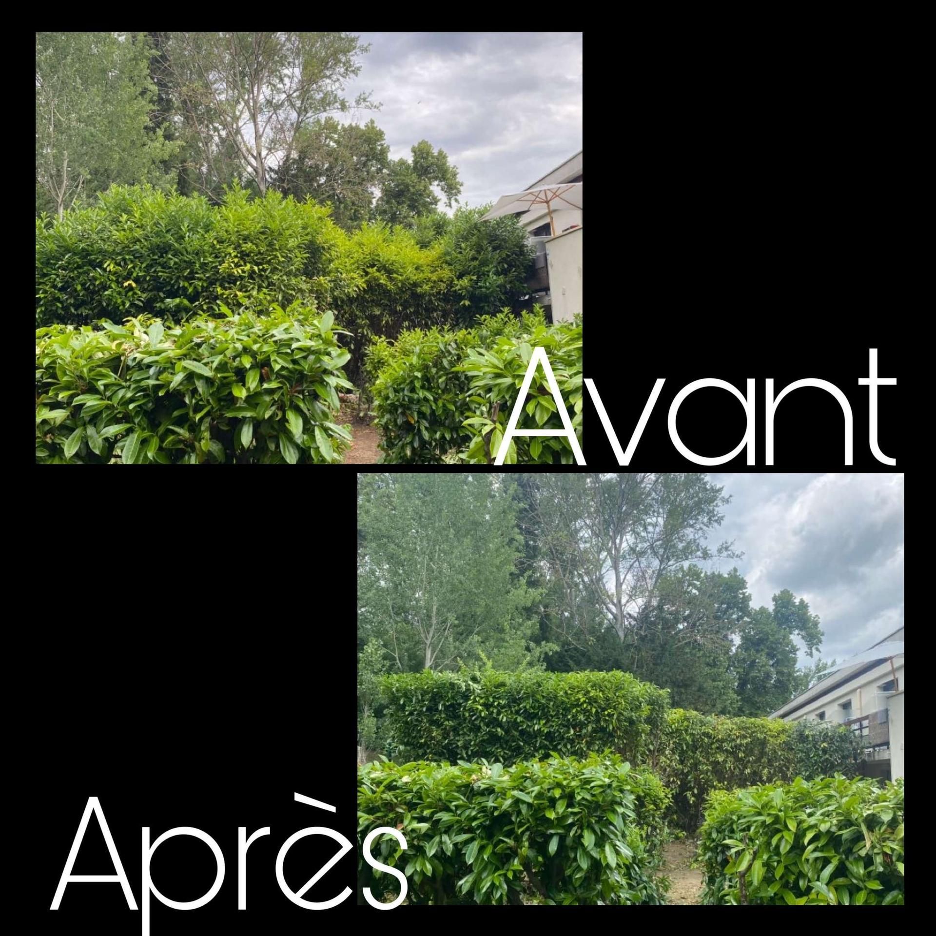 Photo d'illustration 4 sur 30