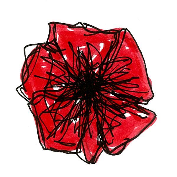 Photo d'illustration 1 sur 218