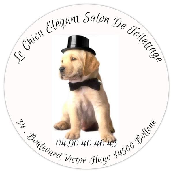 Photo d'illustration 1 sur 2
