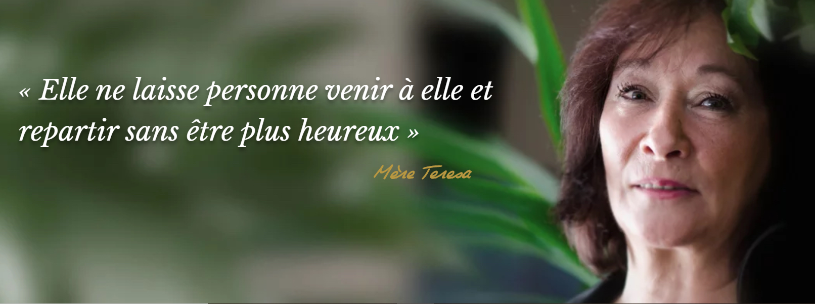 Photo d'illustration 1 sur 1