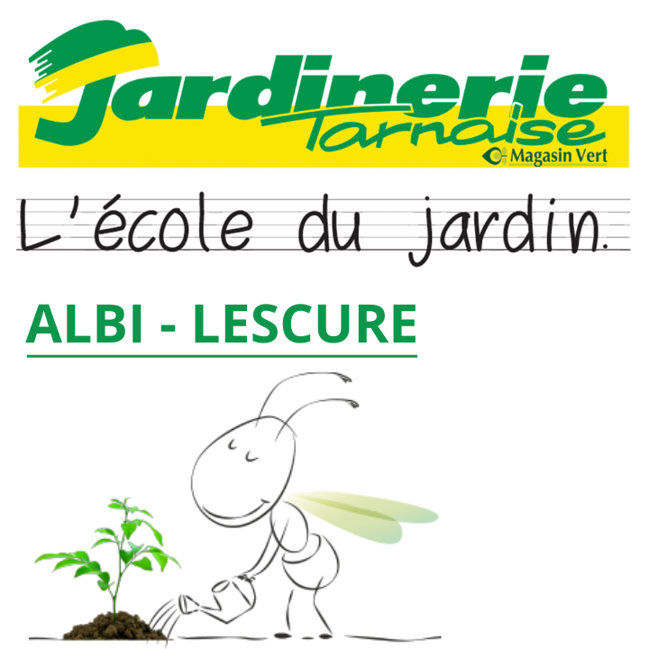 Photo d'illustration 2 sur 6