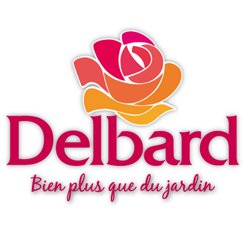 Photo d'illustration 1 sur 8