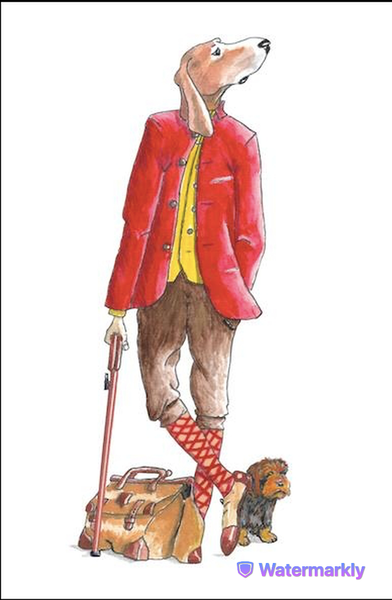 Photo d'illustration 1 sur 5
