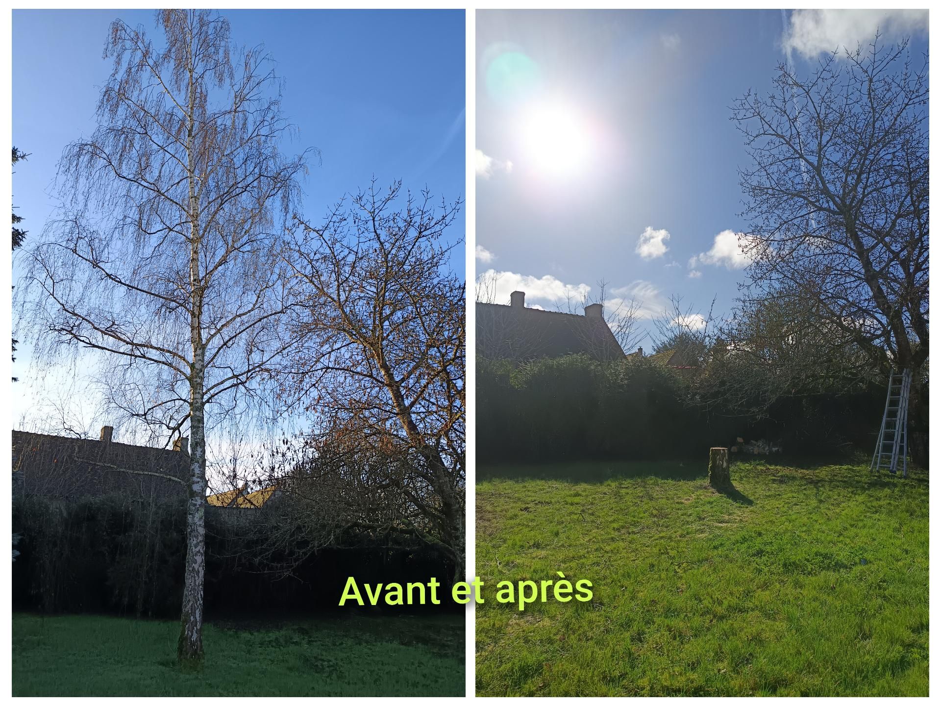 Photo d'illustration 3 sur 21