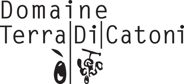 Photo d'illustration 1 sur 7