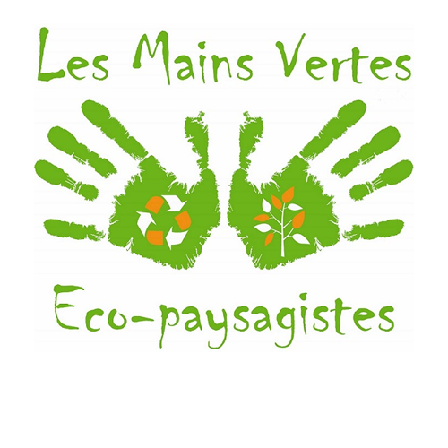 Photo d'illustration 1 sur 5