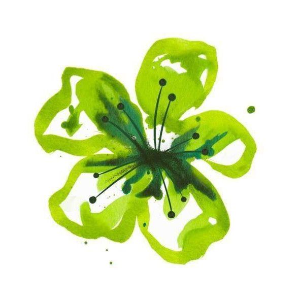 Photo d'illustration 1 sur 51