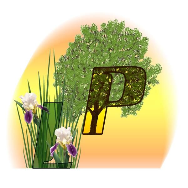 Photo d'illustration 1 sur 19