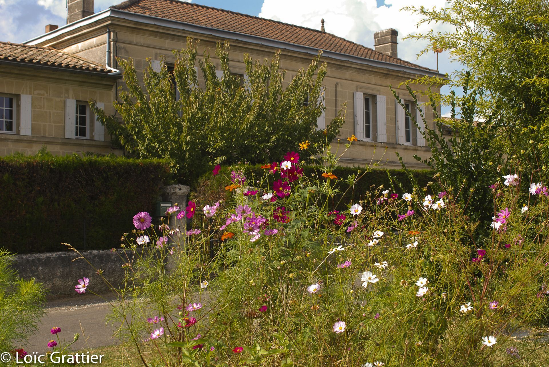 Photo d'illustration 4 sur 8