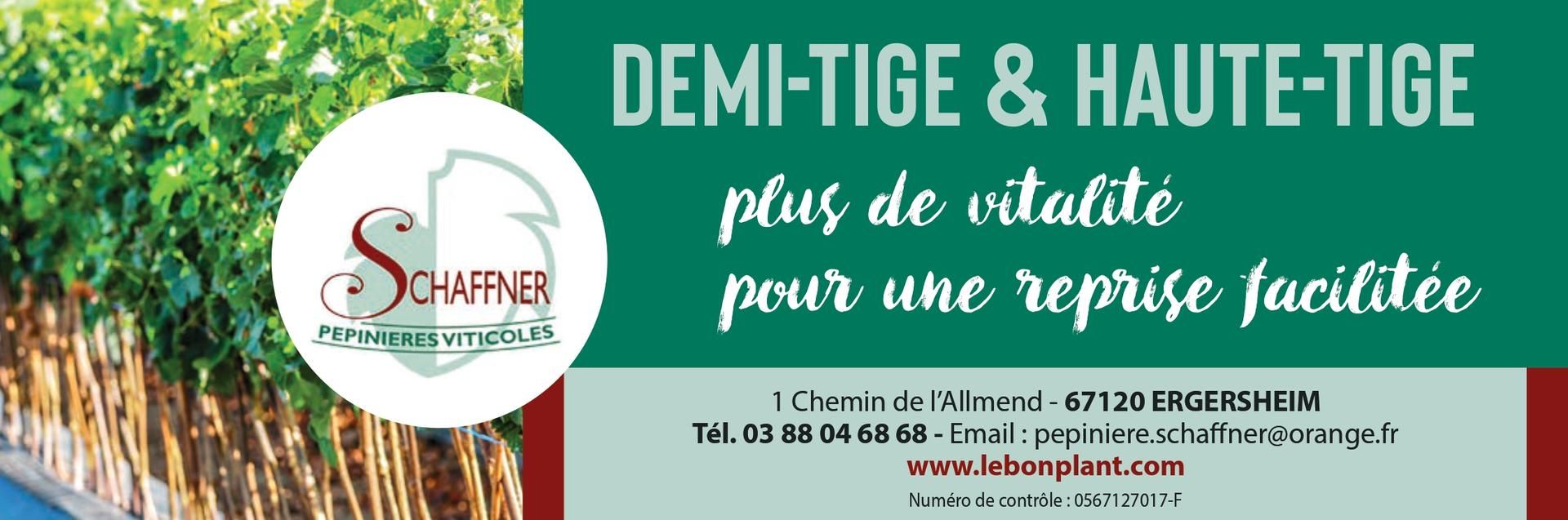 Photo d'illustration 2 sur 10