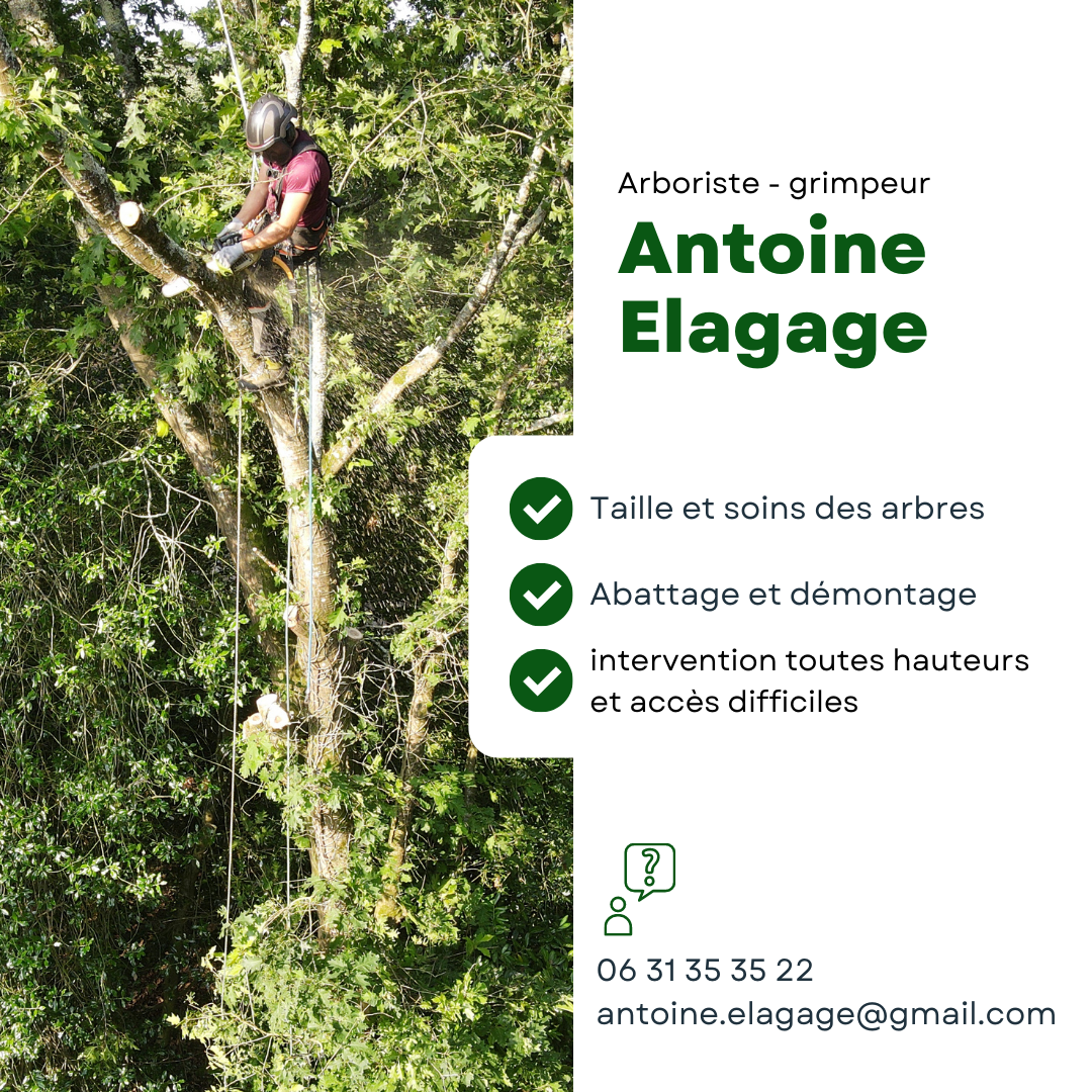 Photo d'illustration 2 sur 7