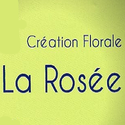 Photo d'illustration 4 sur 19