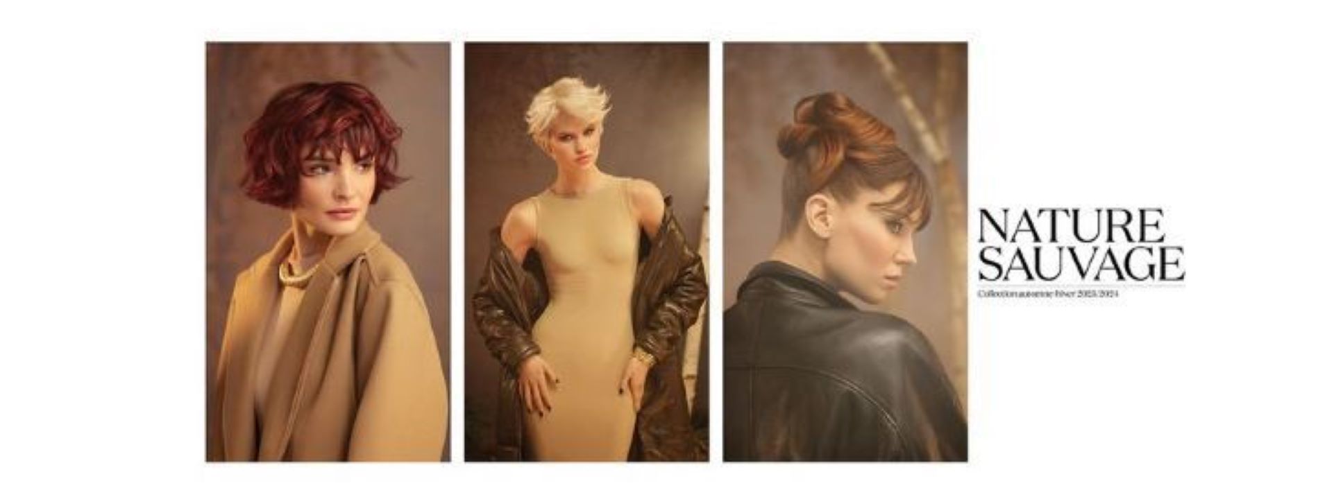 Photo d'illustration 4 sur 6