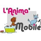 Photo d'illustration 1 sur 10