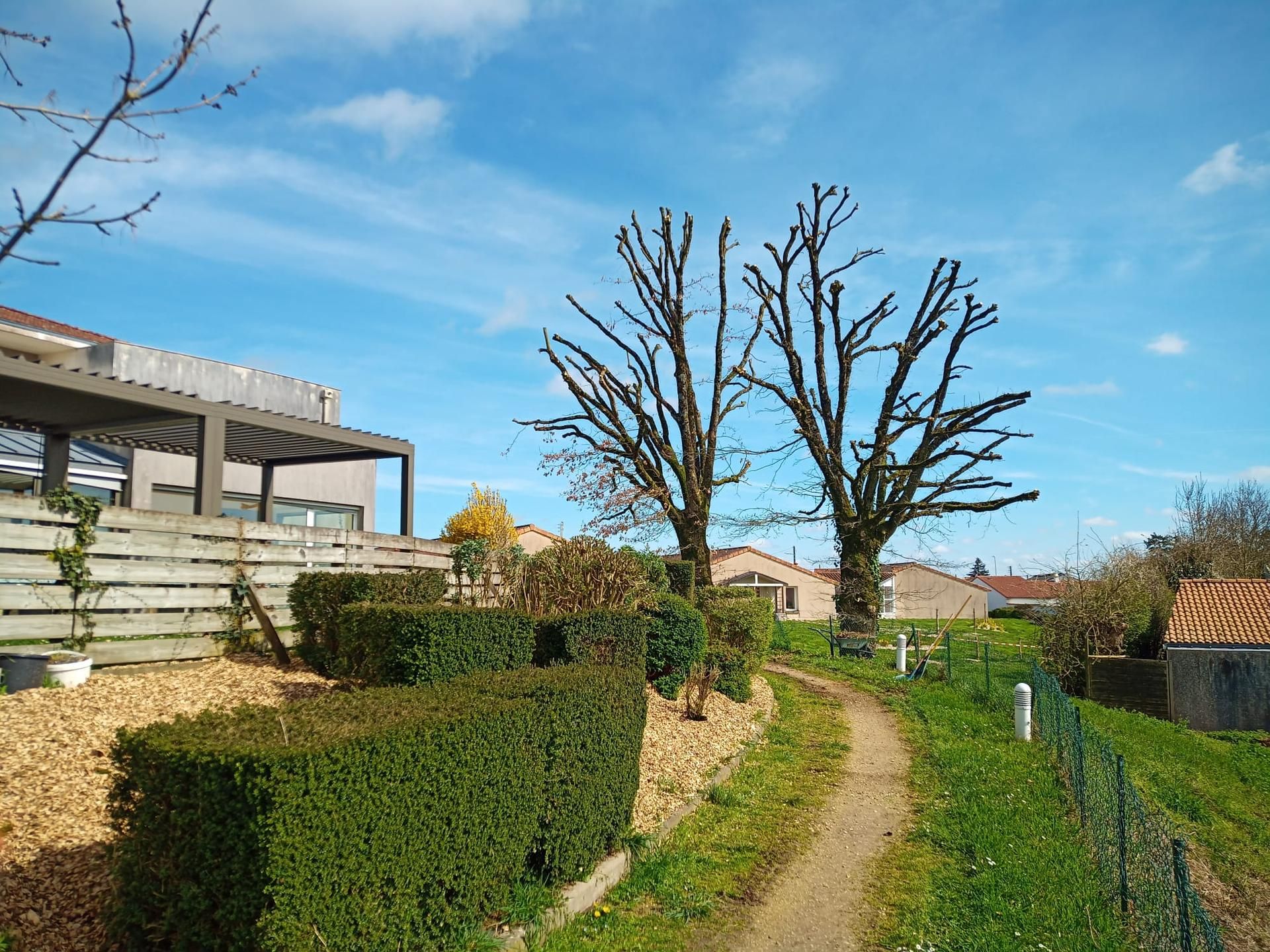 Photo d'illustration 4 sur 14