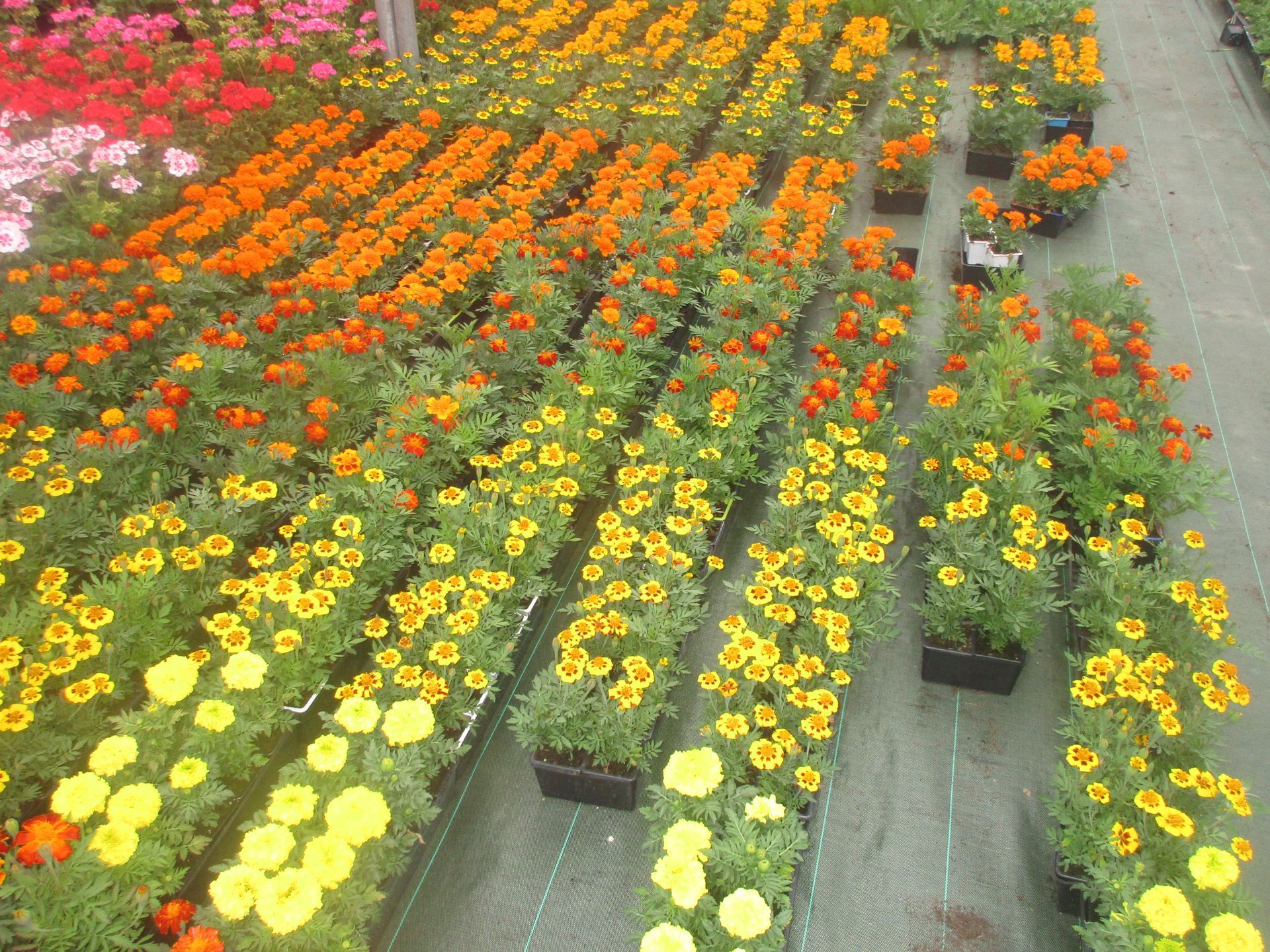 Photo d'illustration 4 sur 15