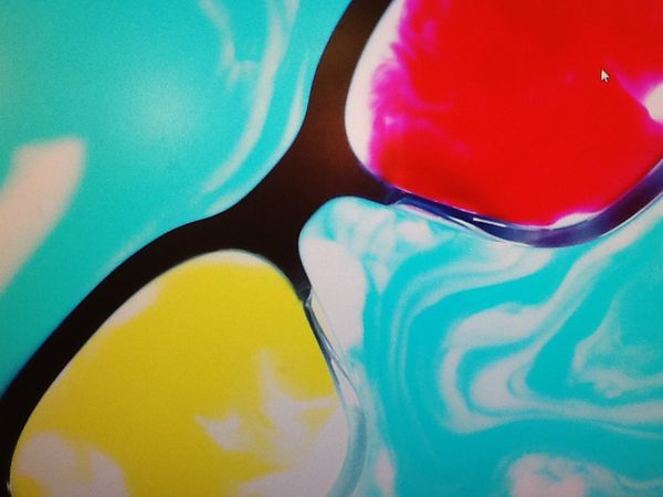 Photo d'illustration 1 sur 4