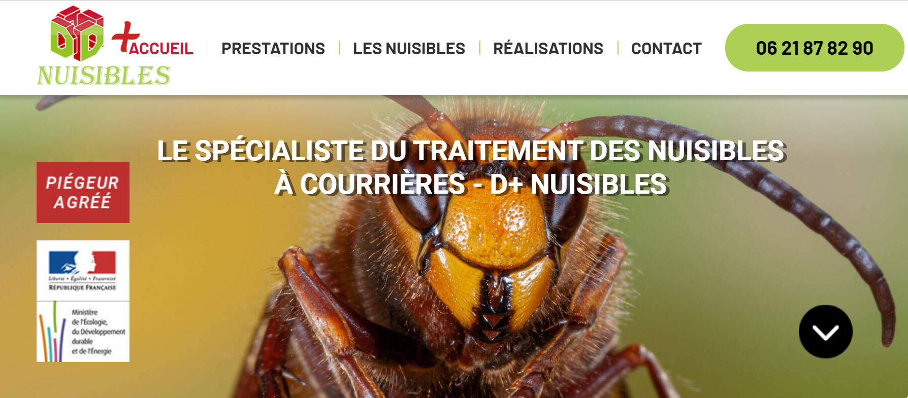 Photo d'illustration 2 sur 32