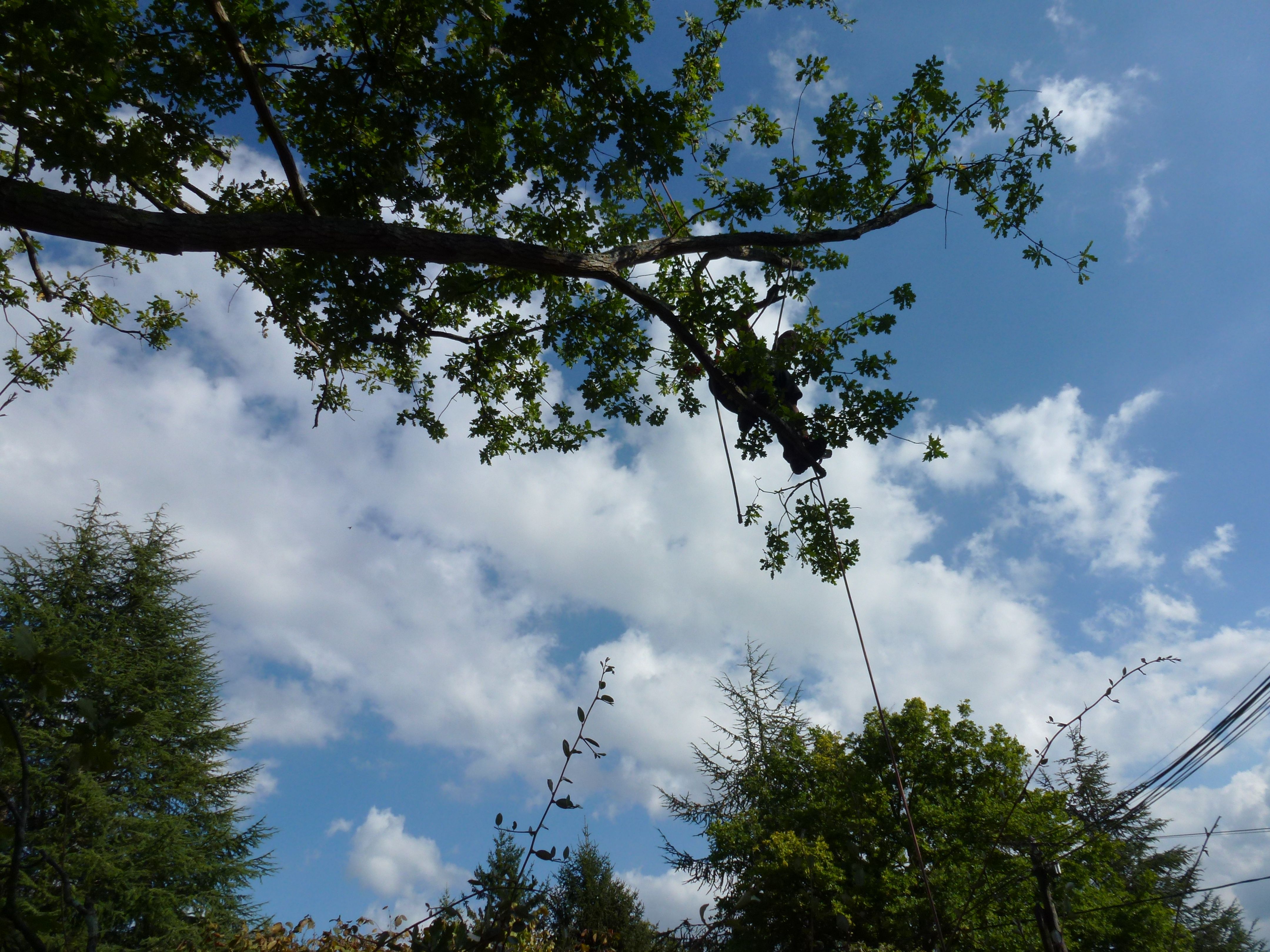 Photo d'illustration 4 sur 4