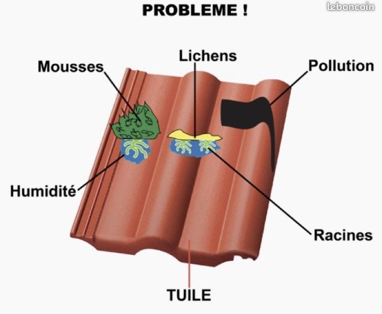 Photo d'illustration 4 sur 8