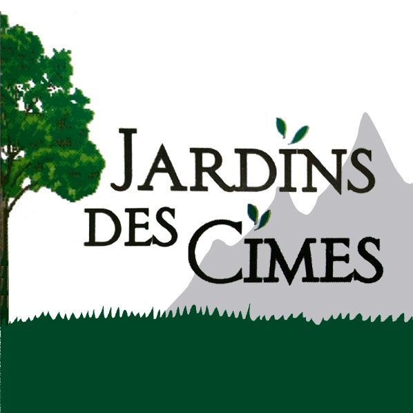 Photo d'illustration 1 sur 12