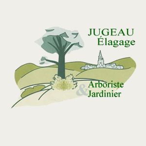 Photo d'illustration 1 sur 7